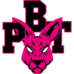 Logo Pink Basket Terni