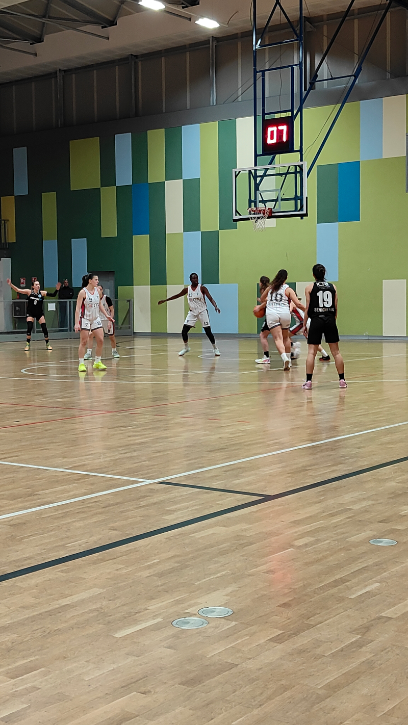 MooneyGo Basket 2000 Senigallia a Massa 48 a 40 