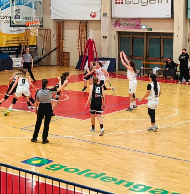 Contro Costone Siena arriva la prima vittoria del 2025 per il Mooneygo Basket 2000 Senigallia 