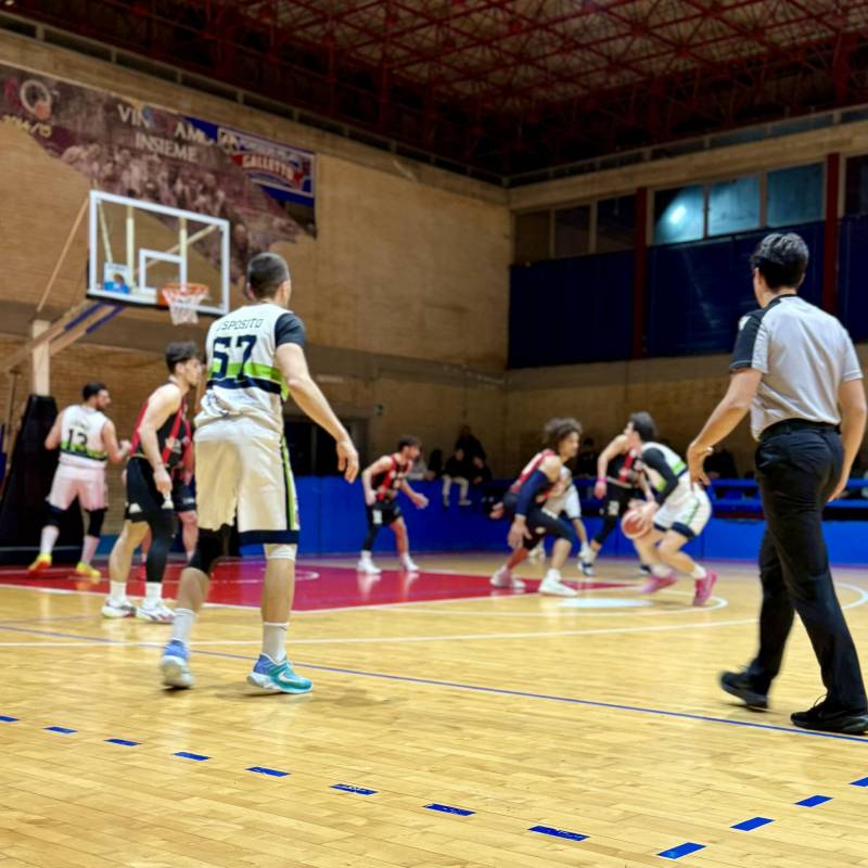 La Virtus torna alla vittoria, battuto in casa Basket Castrovillari per 77-57 