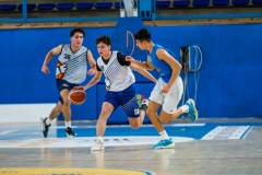 ScuolaBasketFerrara_2025-01-17u17_gold_sbf2.jpg